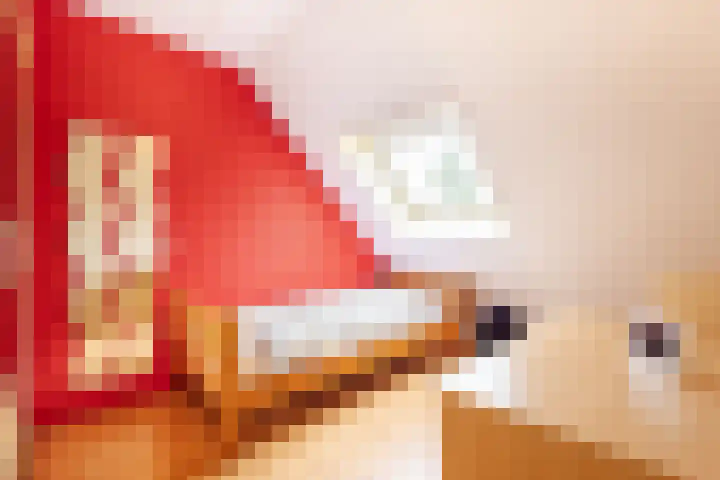 Vierling 4 Hardinxveld-Giessendam thumbnail 18