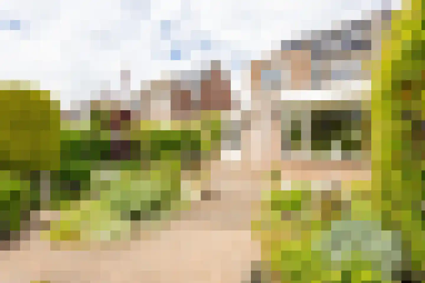 Vierling 4 Hardinxveld-Giessendam thumbnail 31