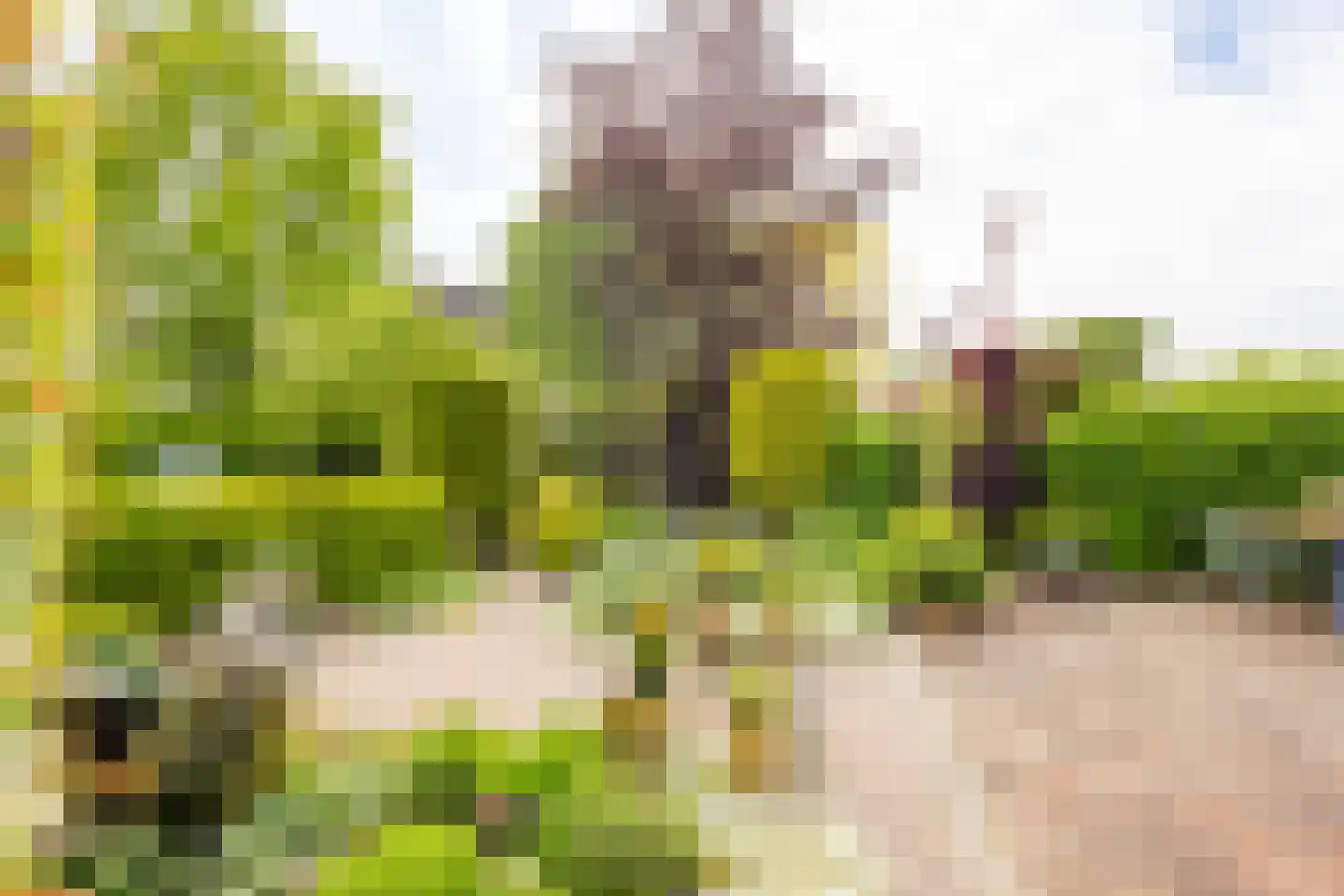 Vierling 4 Hardinxveld-Giessendam thumbnail 32