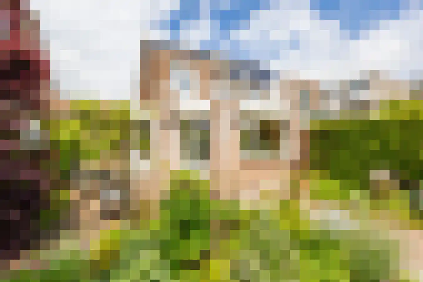 Vierling 4 Hardinxveld-Giessendam thumbnail 33