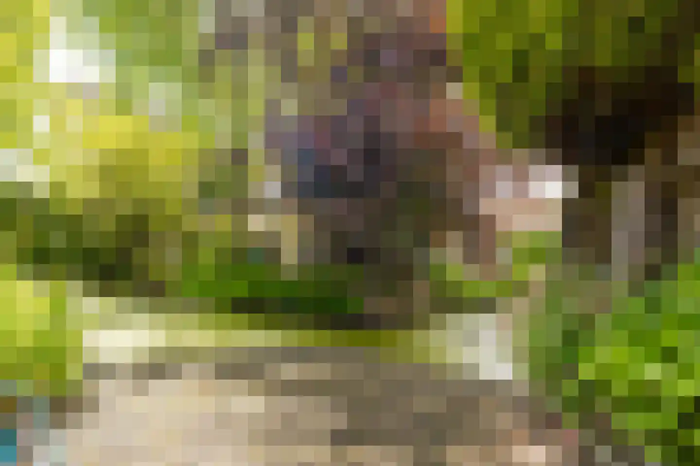 Vierling 4 Hardinxveld-Giessendam thumbnail 34