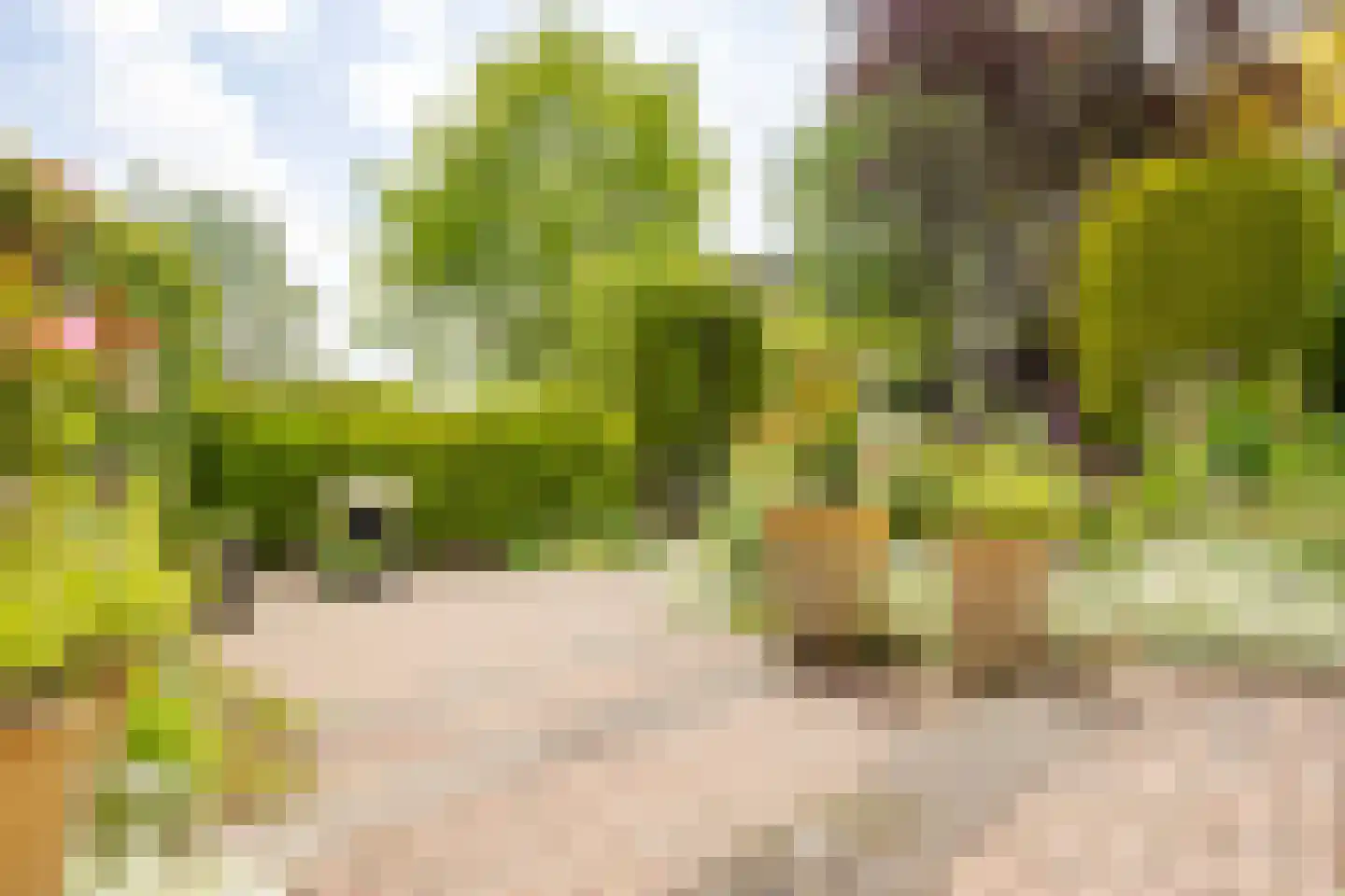 Vierling 4 Hardinxveld-Giessendam thumbnail 37