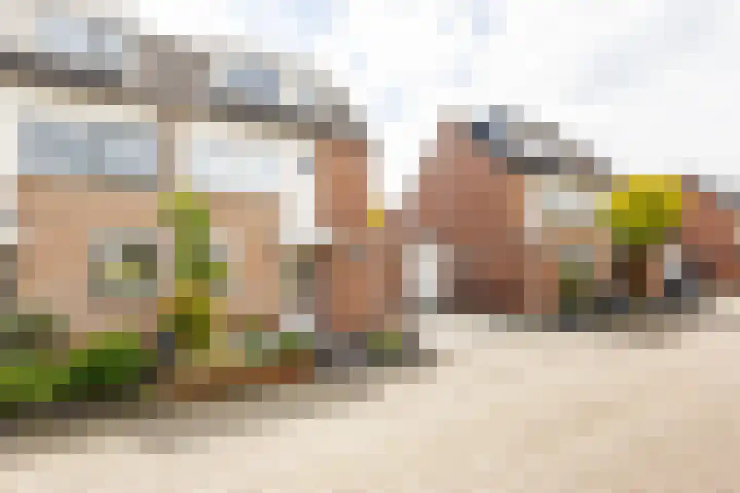 Vierling 4 Hardinxveld-Giessendam thumbnail 39