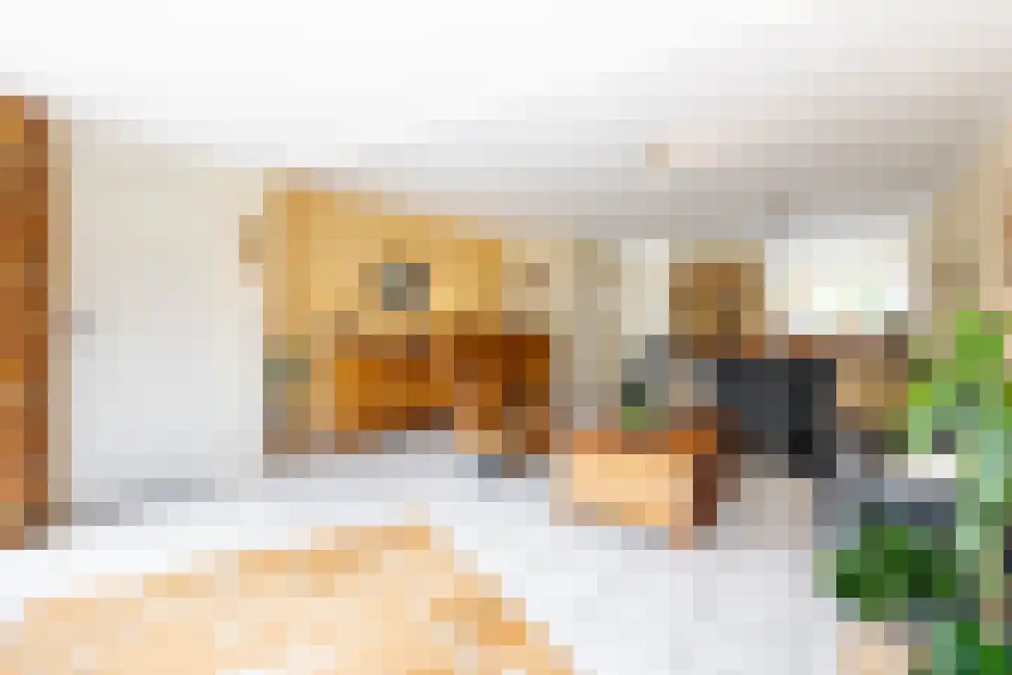 Vierling 4 Hardinxveld-Giessendam thumbnail 7