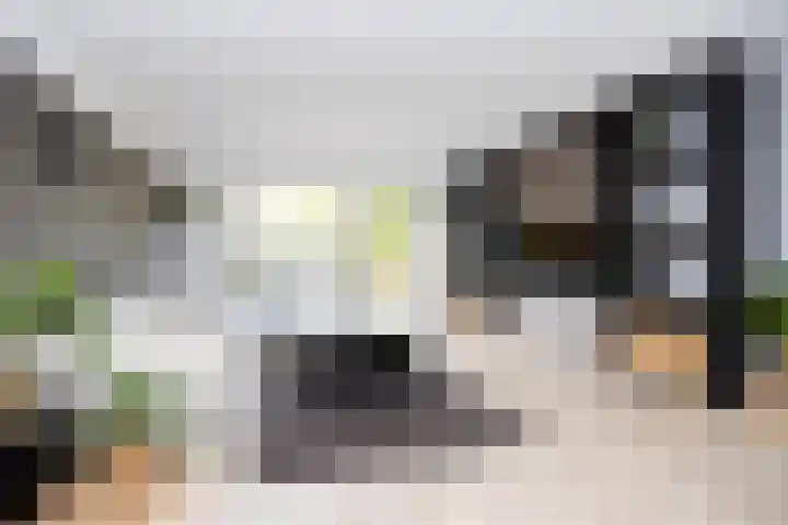 Vierlinghweg 16 Bergschenhoek thumbnail 10