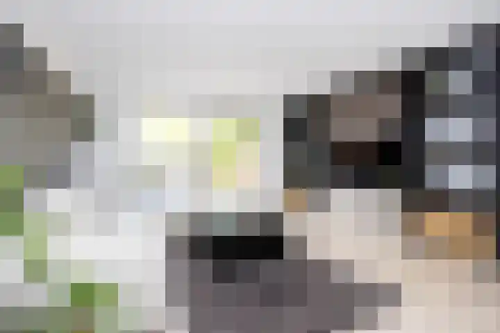 Vierlinghweg 16 Bergschenhoek thumbnail 11