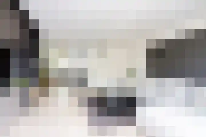 Vierlinghweg 16 Bergschenhoek thumbnail 12