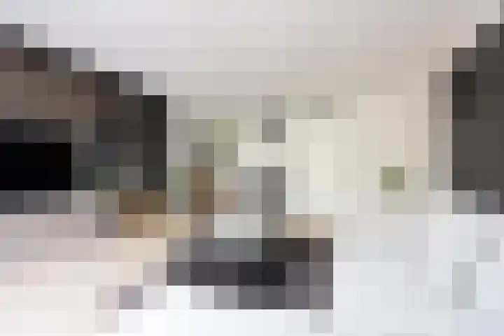Vierlinghweg 16 Bergschenhoek thumbnail 13