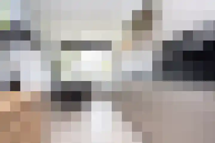Vierlinghweg 16 Bergschenhoek thumbnail 18