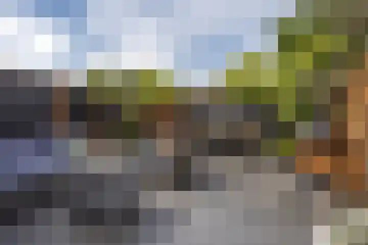 Vierlinghweg 16 Bergschenhoek thumbnail 33