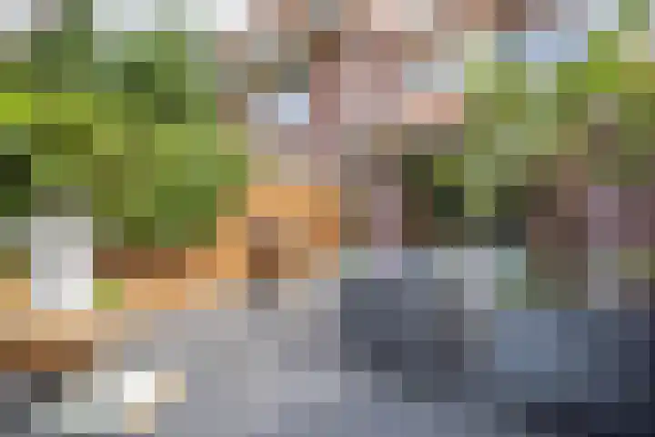 Vierlinghweg 16 Bergschenhoek thumbnail 35