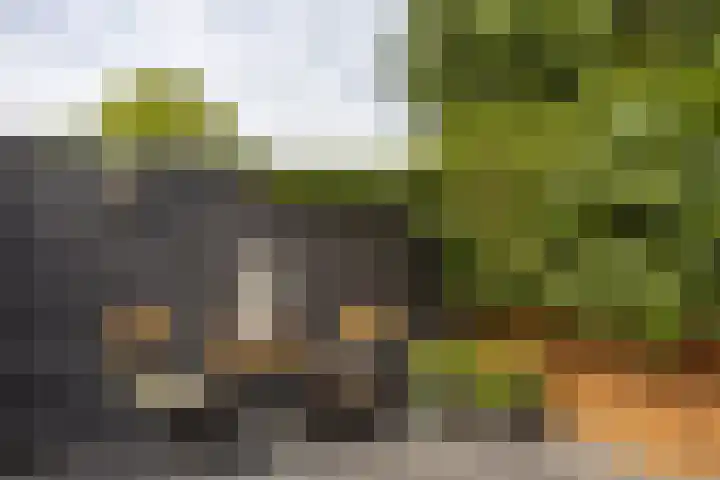 Vierlinghweg 16 Bergschenhoek thumbnail 37