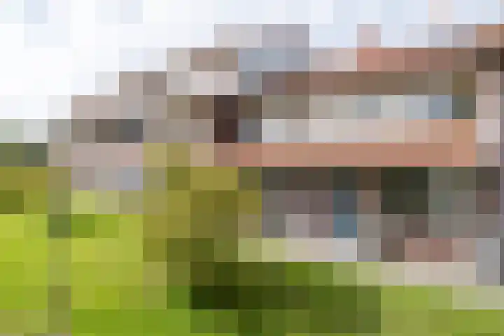 Vierlinghweg 16 Bergschenhoek thumbnail 44