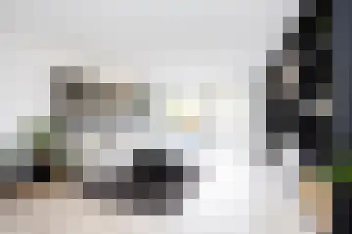 Vierlinghweg 16 Bergschenhoek thumbnail 9