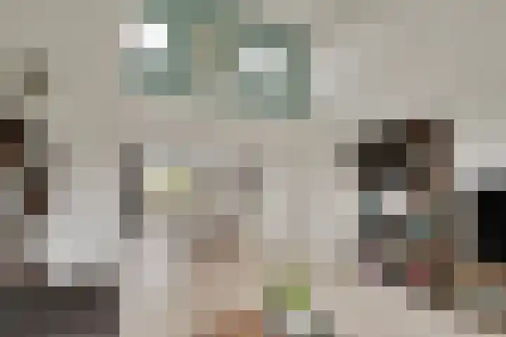 Vierlinghweg 17 Bergschenhoek thumbnail 16