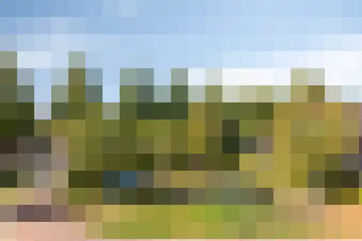 Vierlinghweg 17 Bergschenhoek thumbnail 22