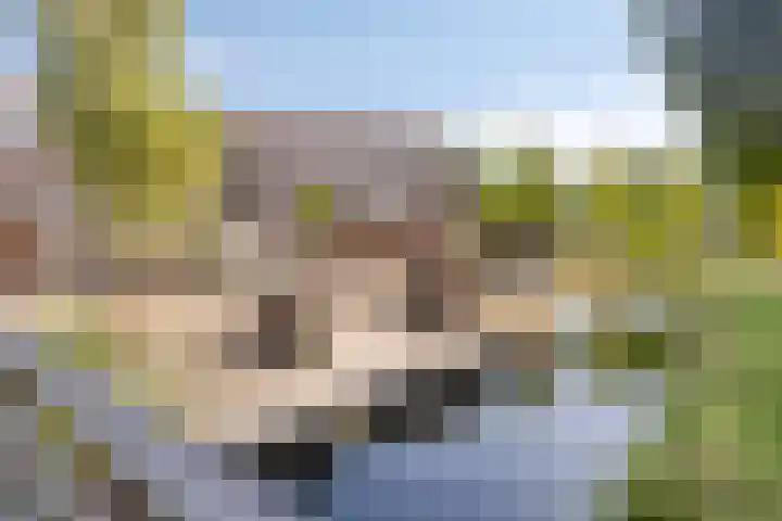 Vierlinghweg 17 Bergschenhoek thumbnail 25