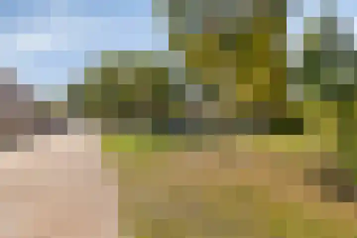Vierlinghweg 17 Bergschenhoek thumbnail 26