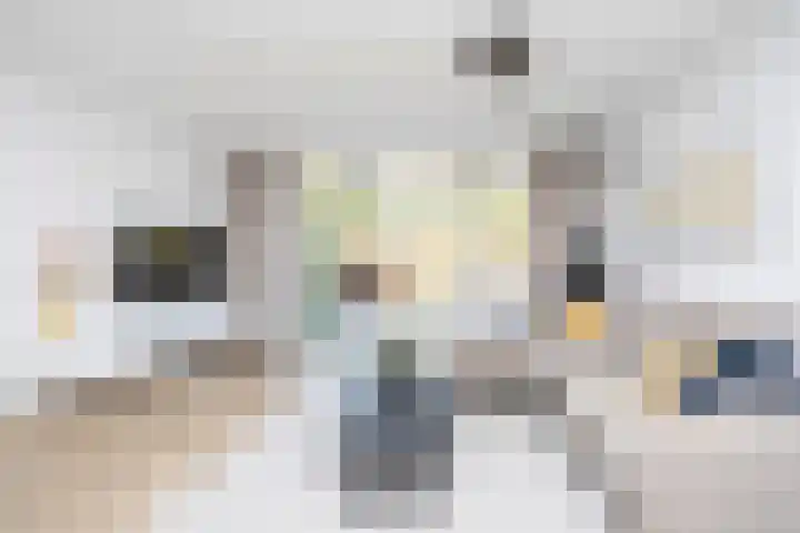 Vierlinghweg 20 Bergschenhoek thumbnail 10