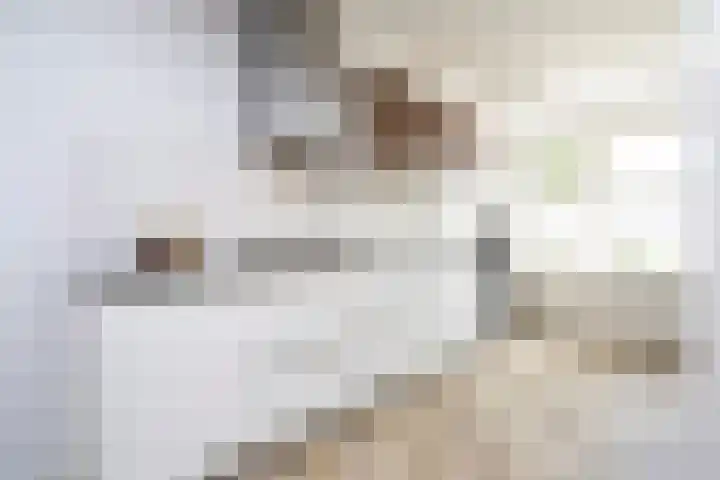 Vierlinghweg 20 Bergschenhoek thumbnail 18