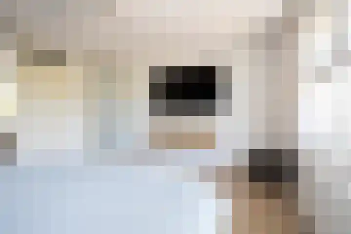 Vierlinghweg 20 Bergschenhoek thumbnail 23