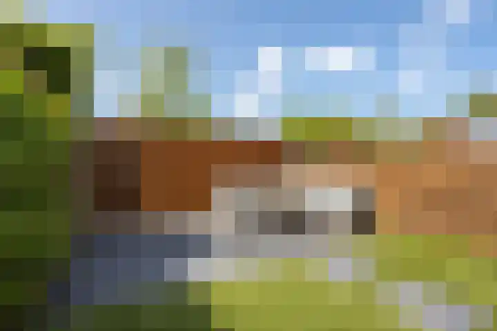 Vierlinghweg 20 Bergschenhoek thumbnail 39