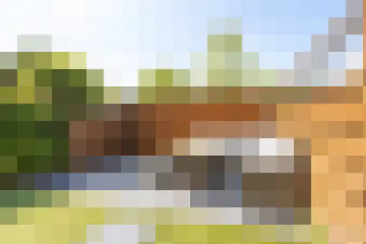 Vierlinghweg 20 Bergschenhoek thumbnail 40
