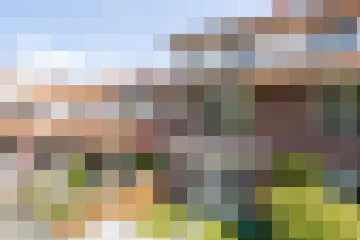 Vierlinghweg 20 Bergschenhoek thumbnail 45