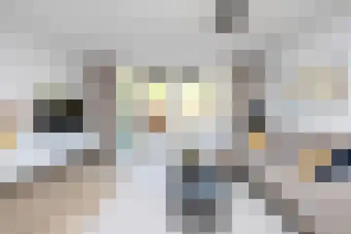 Vierlinghweg 20 Bergschenhoek thumbnail 8