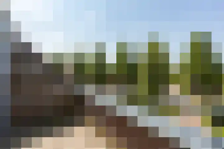 Vierlinghweg 21 Bergschenhoek thumbnail 12