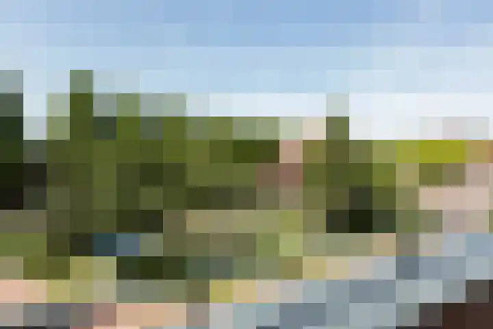 Vierlinghweg 21 Bergschenhoek thumbnail 13
