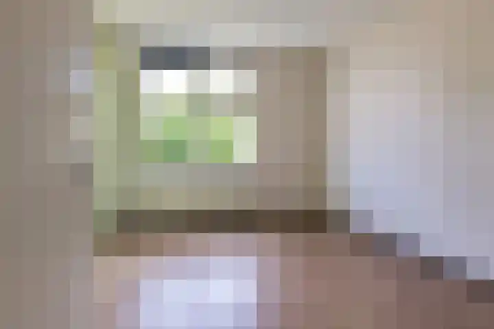 Vierlinghweg 21 Bergschenhoek thumbnail 18
