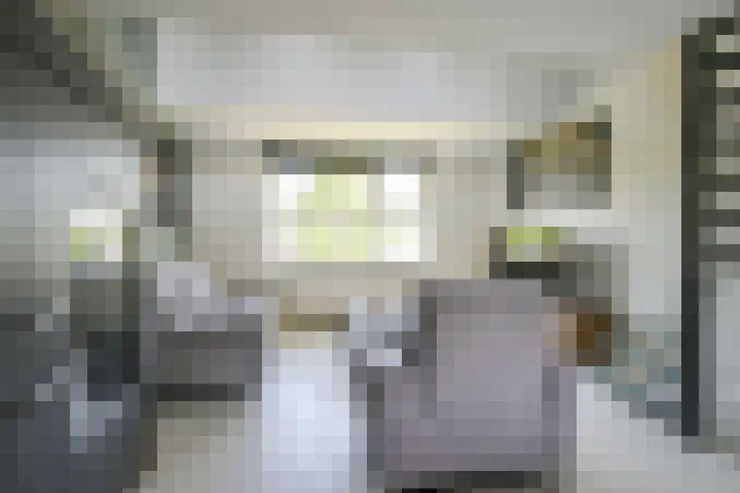 Vierlinghweg 29 Bergschenhoek thumbnail 31