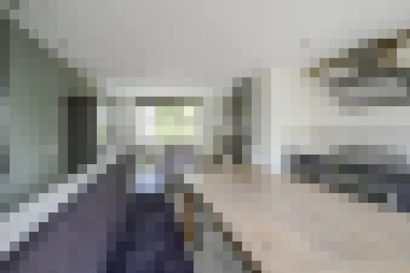 Vierlinghweg 29 Bergschenhoek thumbnail 37