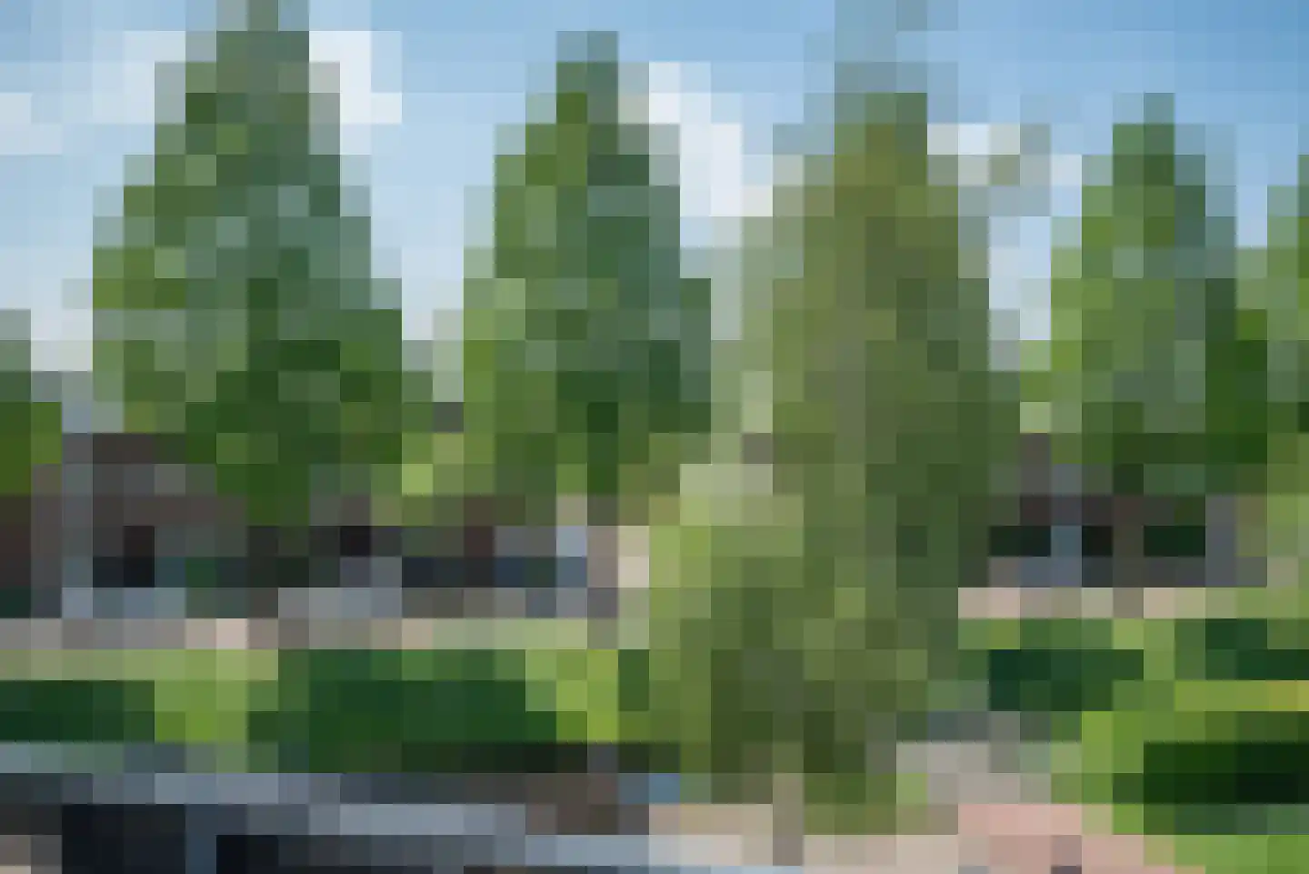 Vierlinghweg 29 Bergschenhoek thumbnail 43