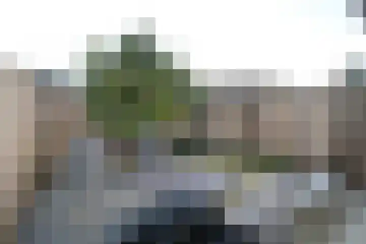 Vierlinghweg 40 Bergschenhoek thumbnail 31