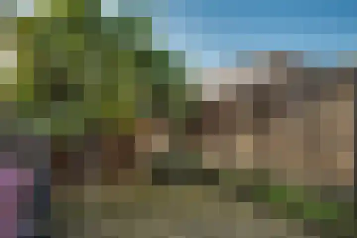 Vierlinghweg 40 Bergschenhoek thumbnail 32