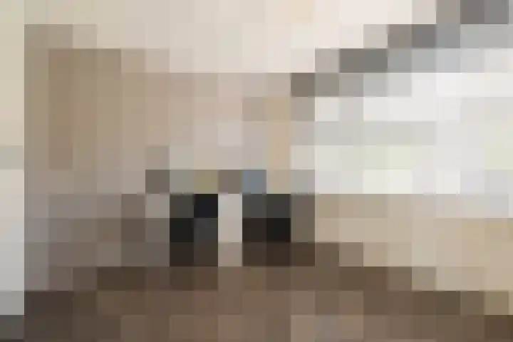 Vierlinghweg 41 Bergschenhoek thumbnail 17