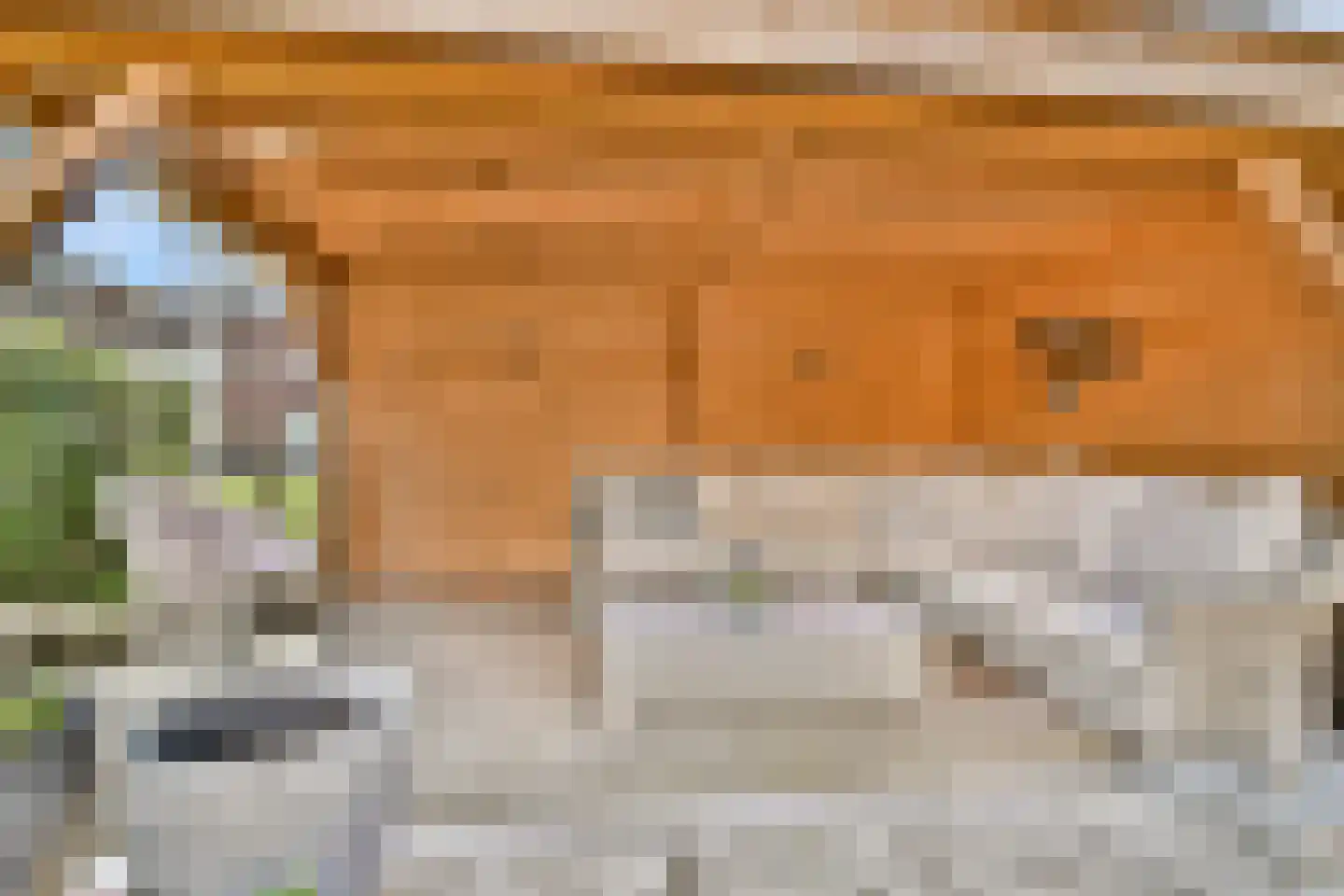 Vierlinghweg 47 Bergschenhoek thumbnail 13