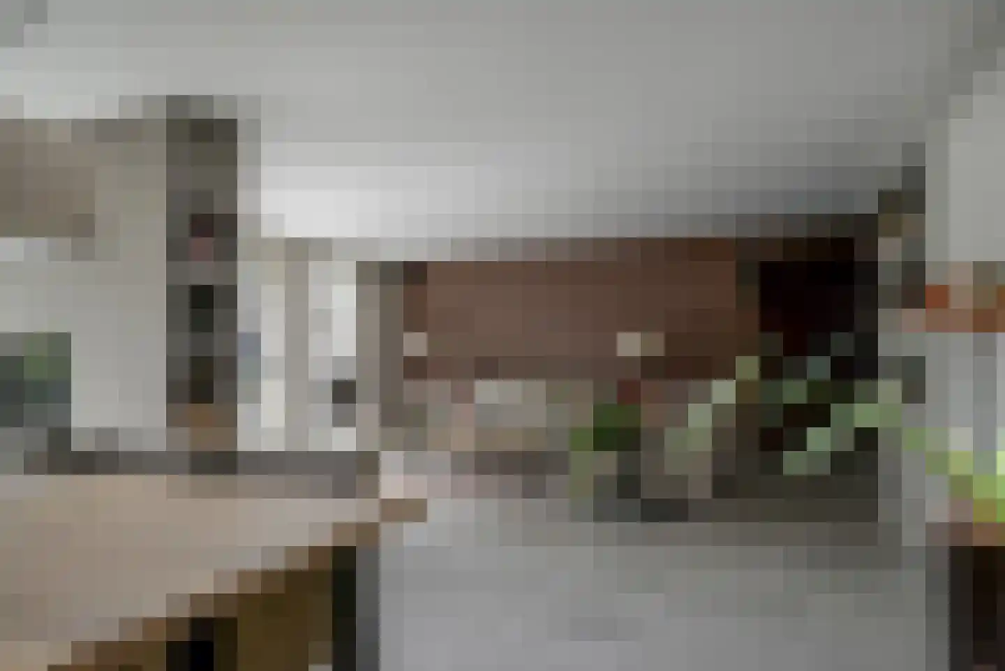 Vierlinghweg 55 Bergschenhoek thumbnail 16