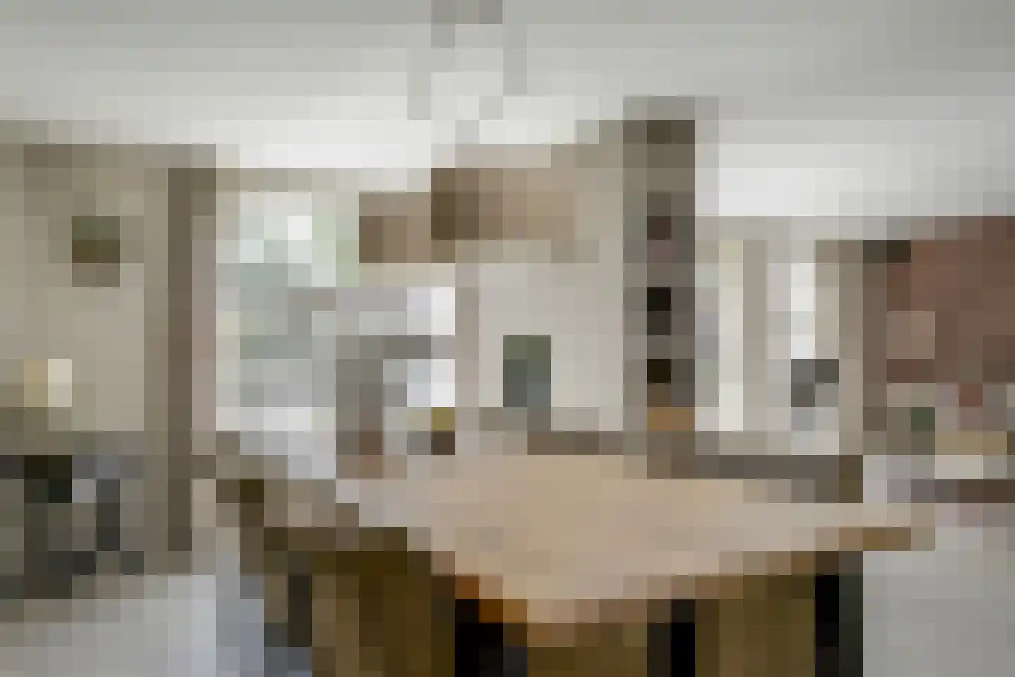 Vierlinghweg 55 Bergschenhoek thumbnail 20