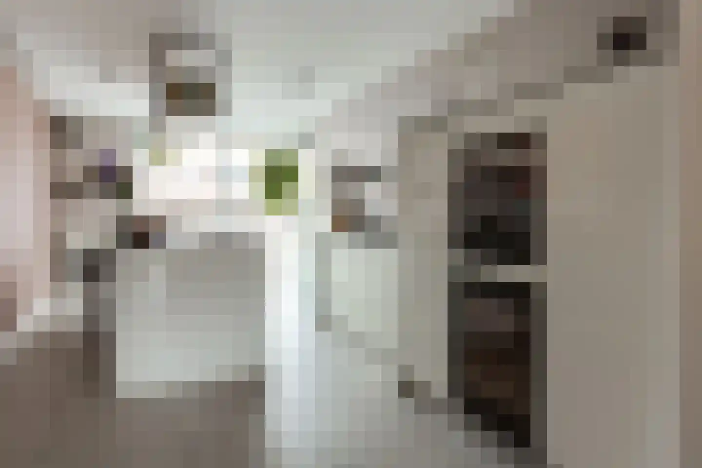 Vierlinghweg 55 Bergschenhoek thumbnail 22