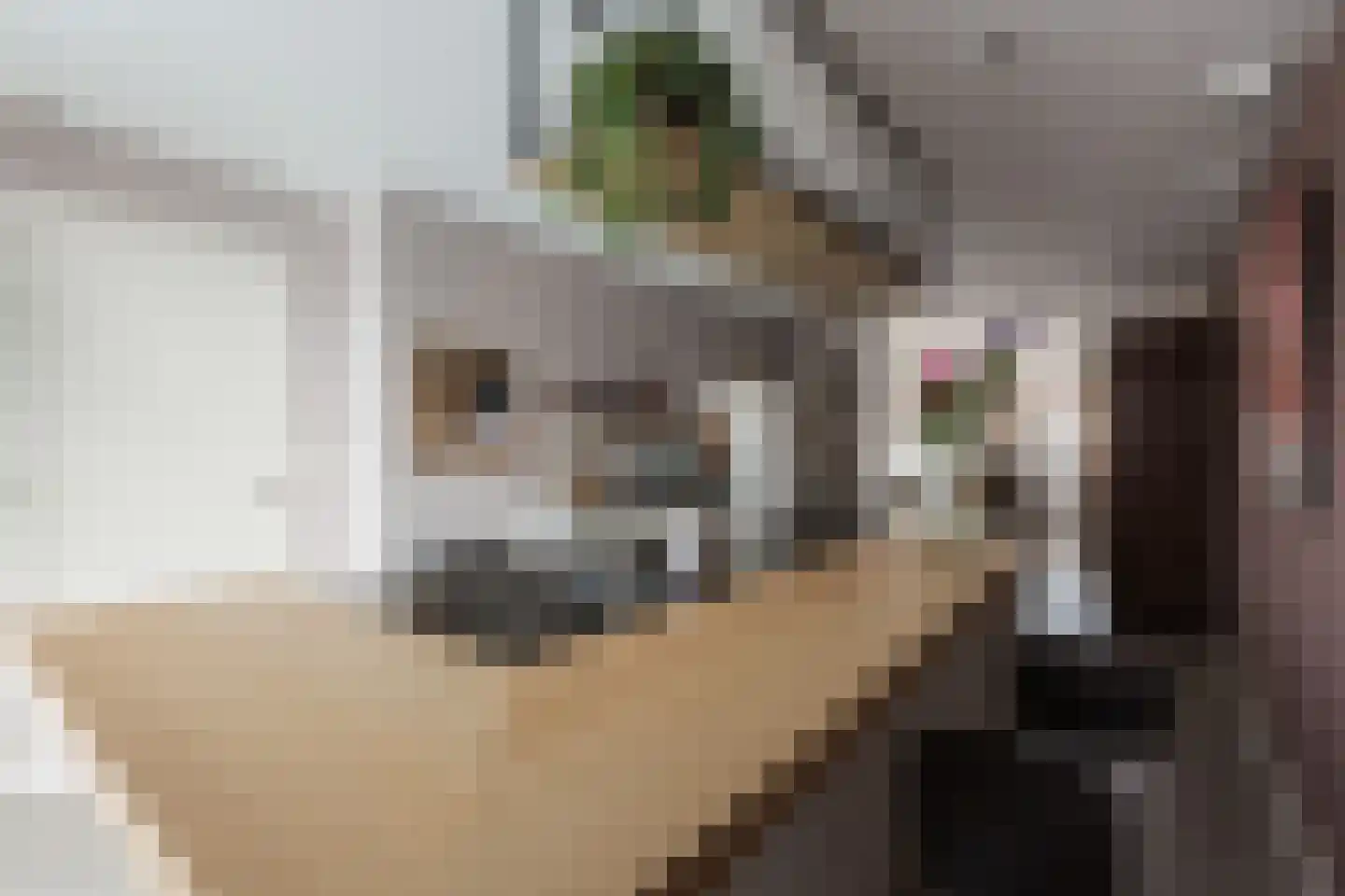 Vierlinghweg 55 Bergschenhoek thumbnail 24