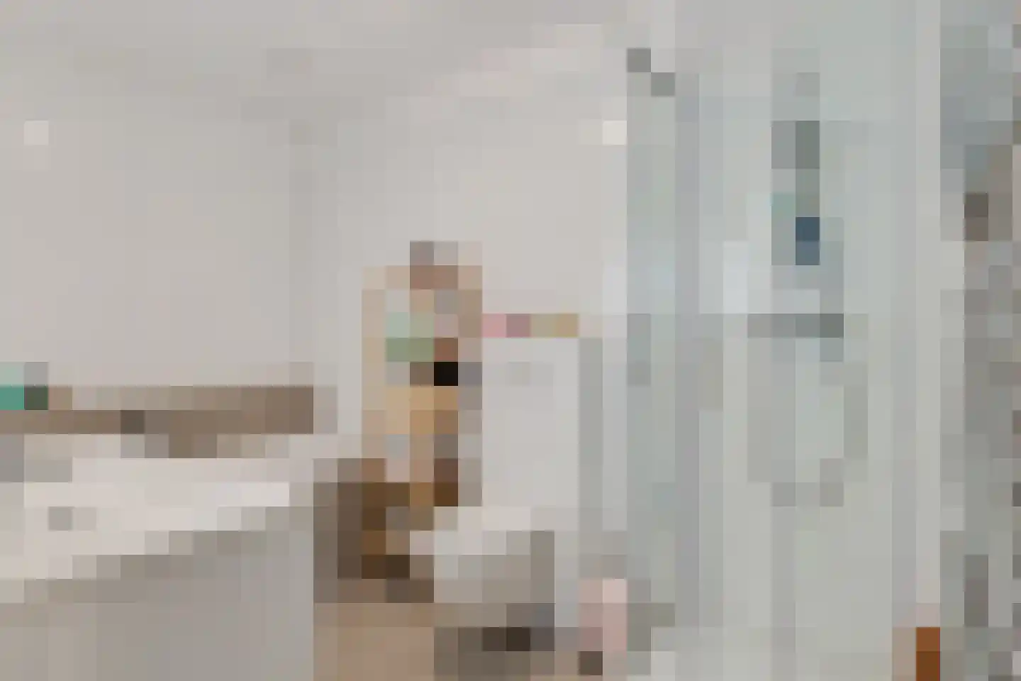 Vierlinghweg 55 Bergschenhoek thumbnail 31