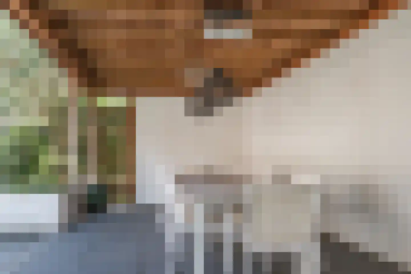 Vierlinghweg 55 Bergschenhoek thumbnail 42
