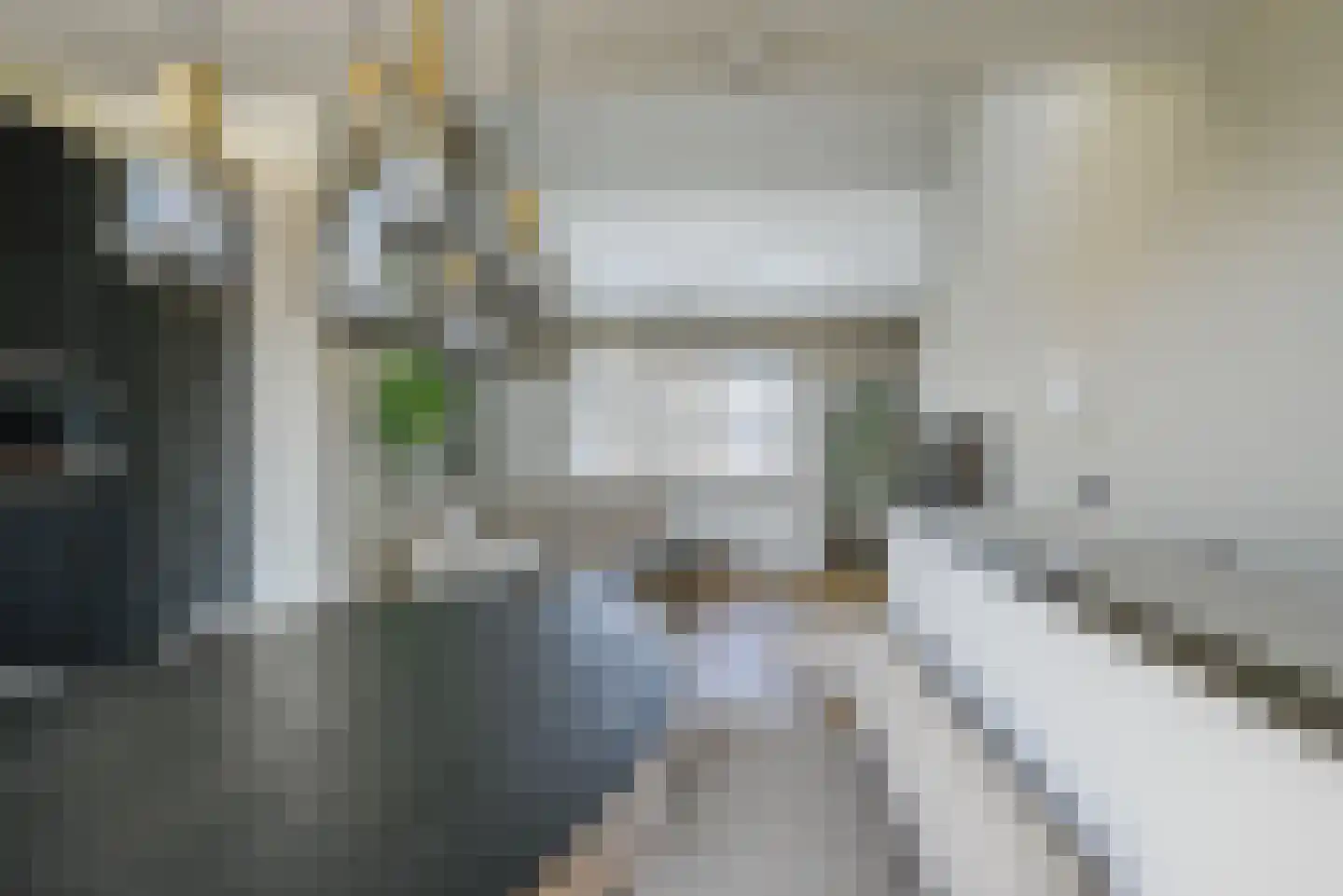 Vierlinghweg 7 Bergschenhoek thumbnail 12