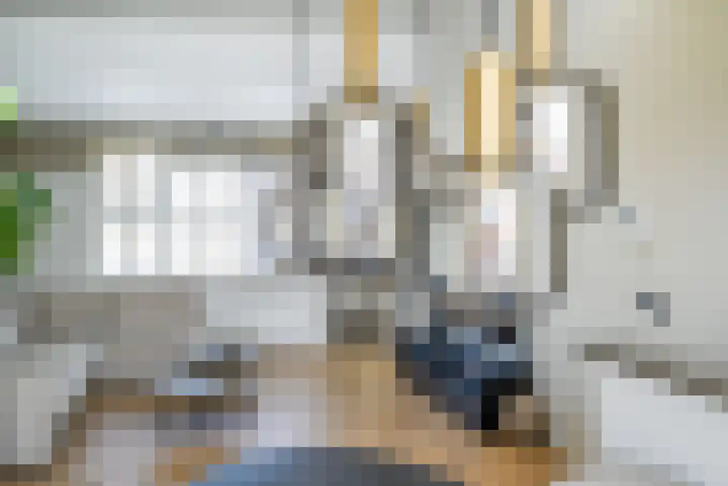 Vierlinghweg 7 Bergschenhoek thumbnail 13