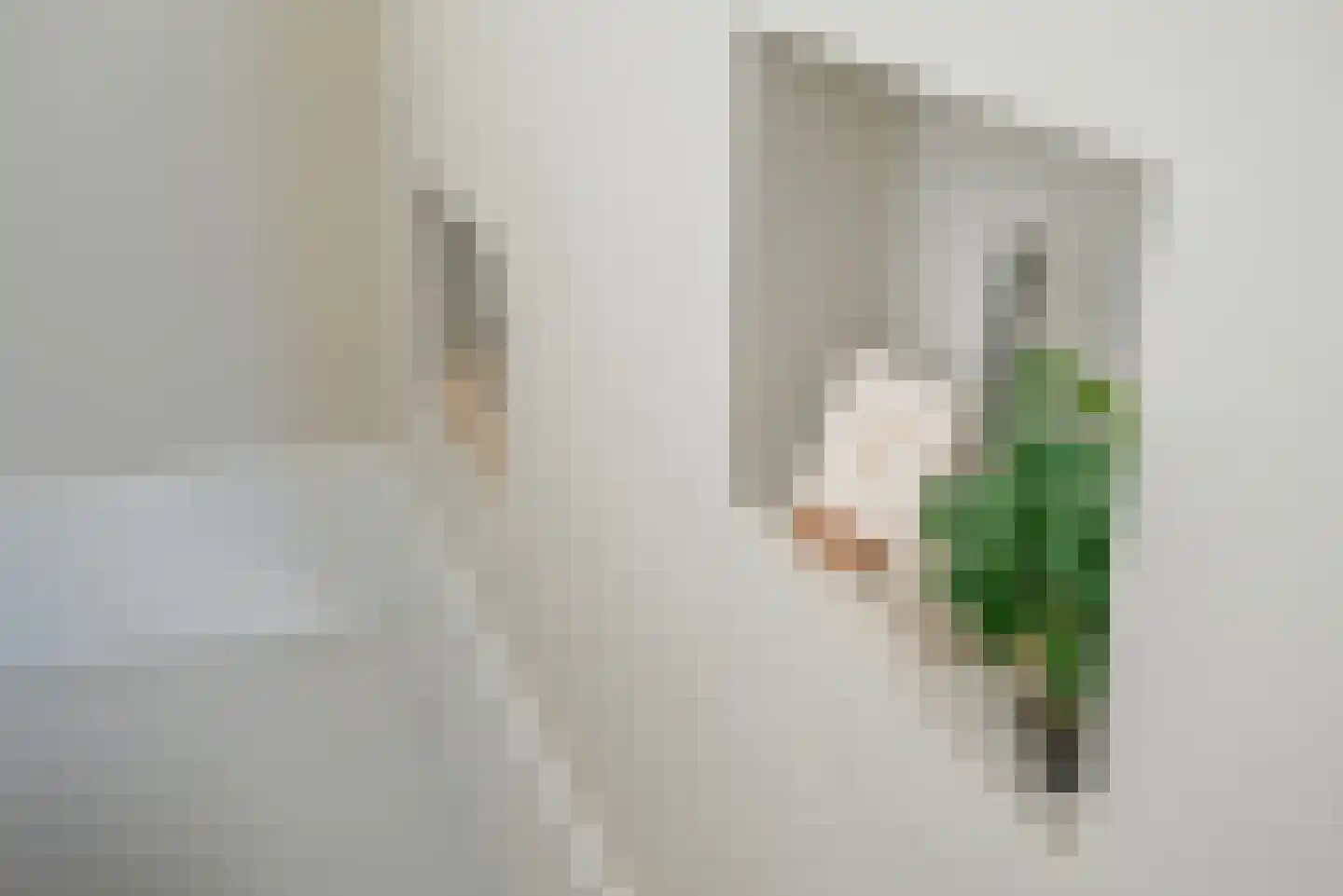 Vierlinghweg 7 Bergschenhoek thumbnail 18
