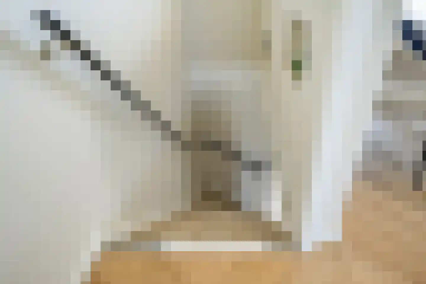 Vierlinghweg 7 Bergschenhoek thumbnail 19