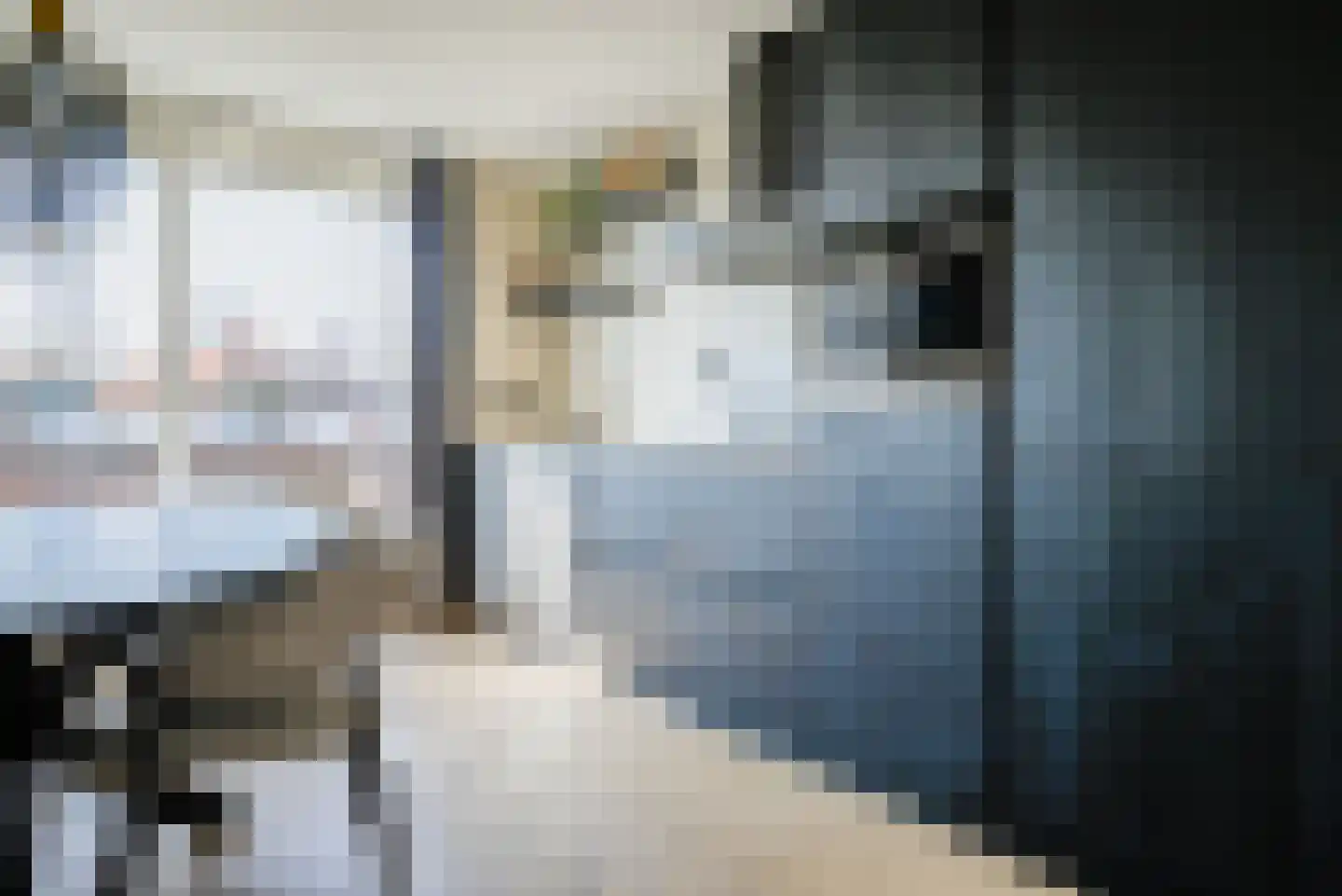 Vierlinghweg 7 Bergschenhoek thumbnail 9